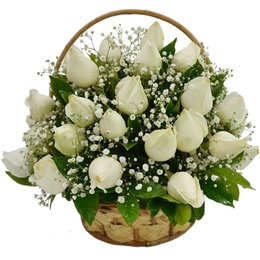 Imagem de Cesta de 24 Rosas Brancas