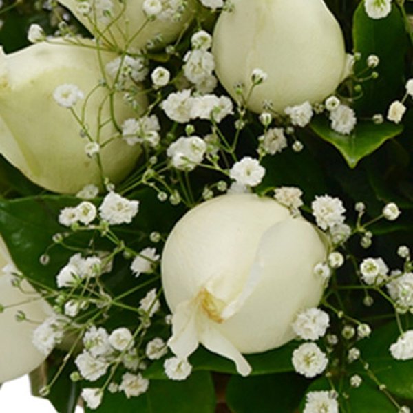 Cesta de 24 Rosas Brancas