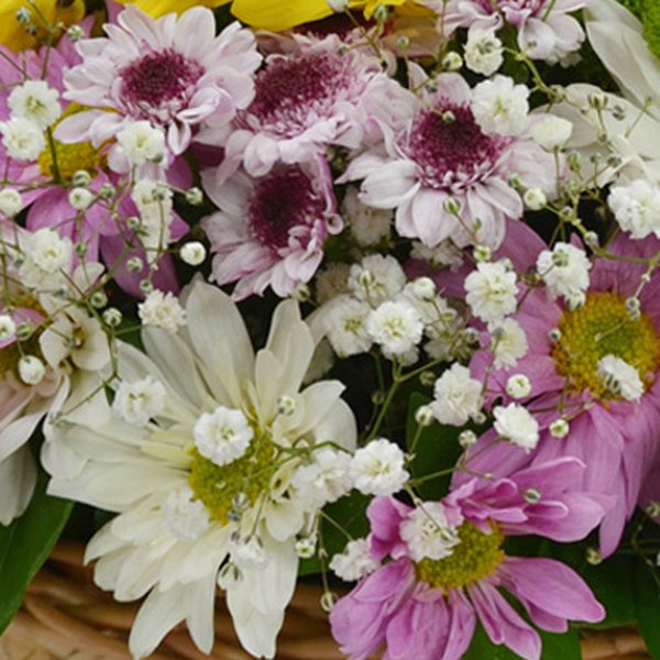 Cesta de Flores do Campo