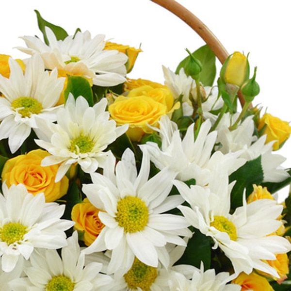 Cesta de Margaridas e Rosas Amarelas