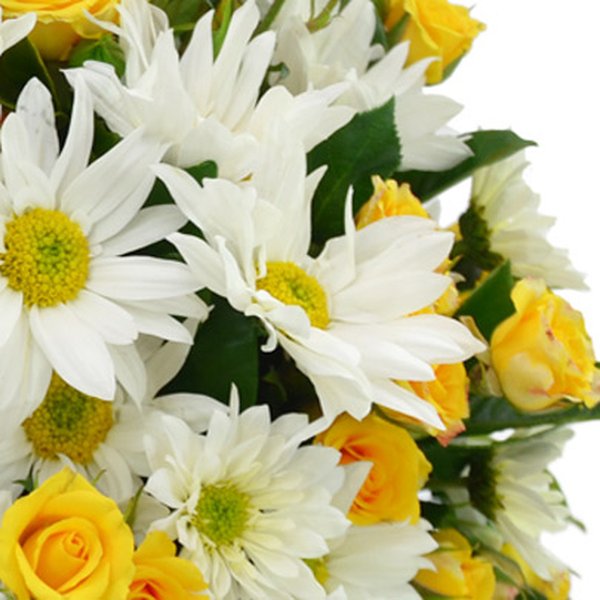 Cesta de Margaridas e Rosas Amarelas