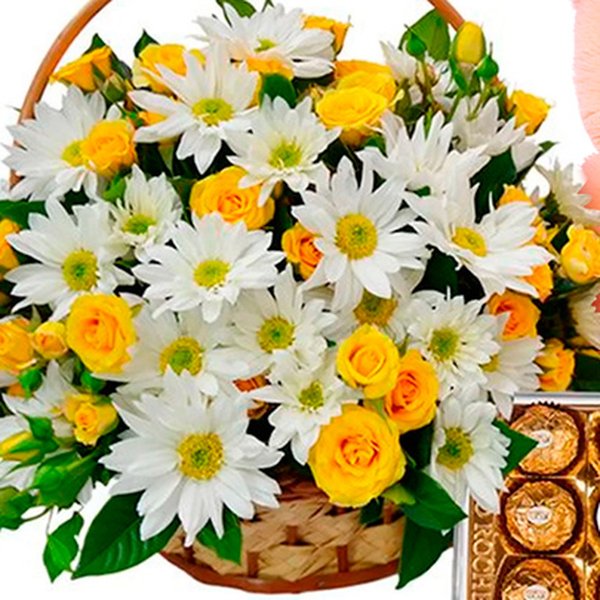 Cesta de Margaridas e Rosas Amarelas com Chocolate e Pelúcia