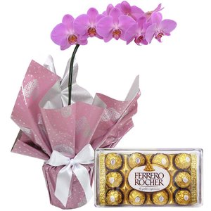 Imagem de Orquídea Phalaenopsis Pink e Ferrero Rocher