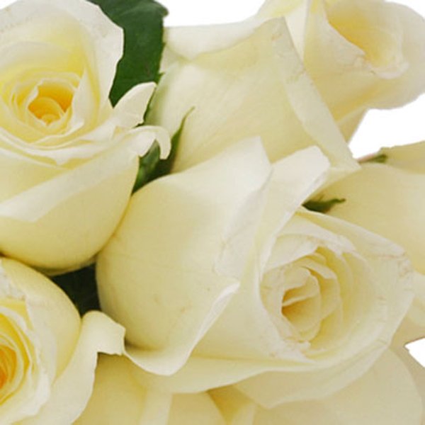 Buquê de 7 Rosas Brancas com Ferrero Rocher