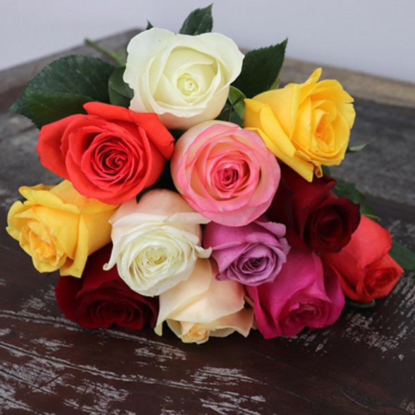 Buquê de 12 Rosas Coloridas