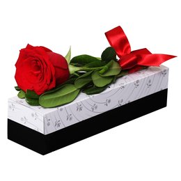 Imagem de Sensacional Rosa Importada Vermelha