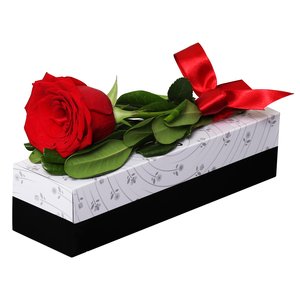 Imagem de Sensacional Rosa Importada Vermelha