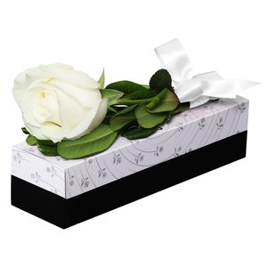 Imagem de Sensacional Rosa Branca