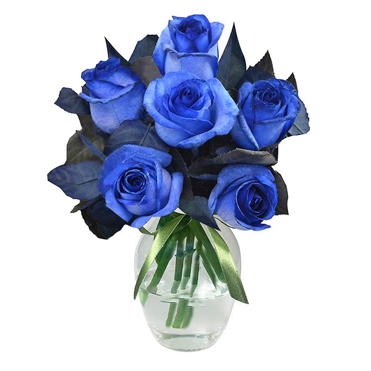 Luxuosas 6 Rosas Azuis