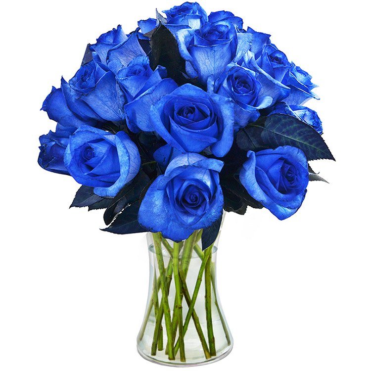 Luxuosas 24 Rosas Azuis