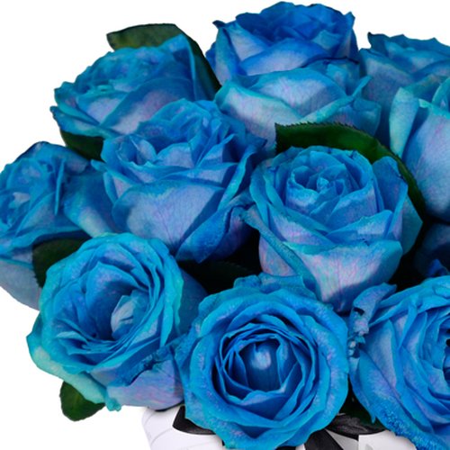 Buquê Magnífico de Rosas Azuis
