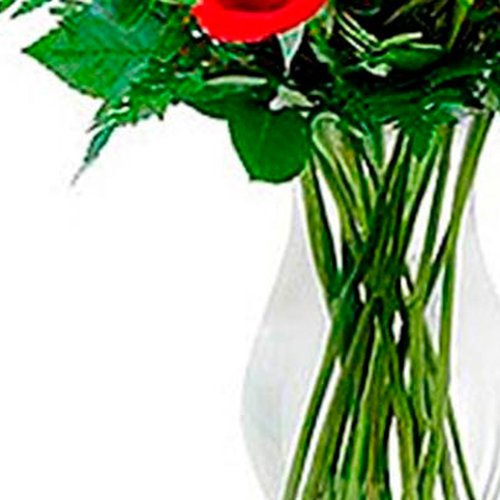 Flower Arranjo de Rosas Red  Internacional