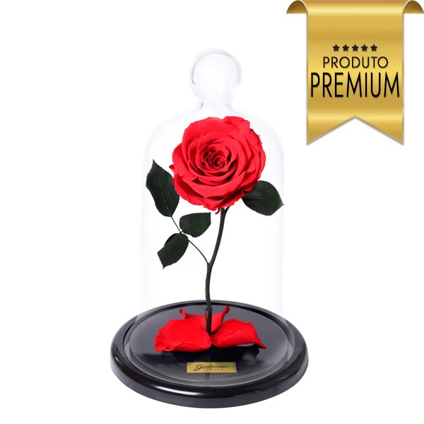 A Rosa Encantada