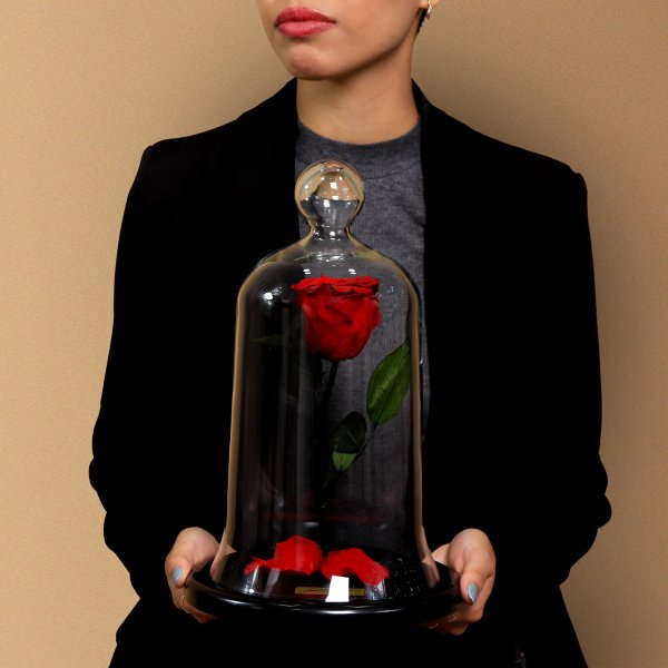 A Rosa Encantada