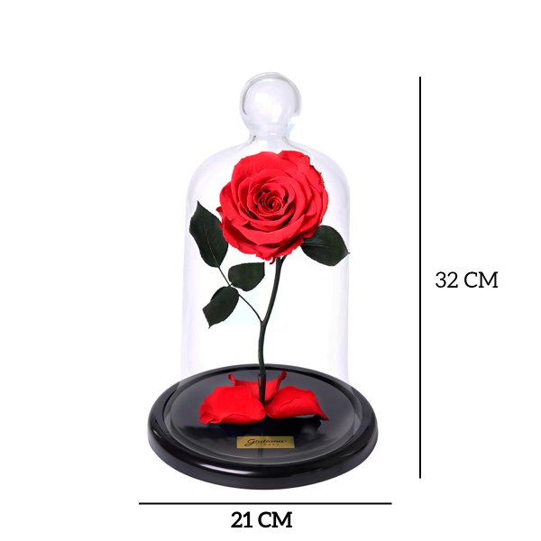 A Rosa Encantada