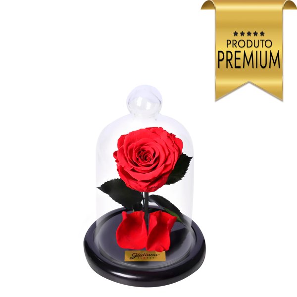 Mini Rosa Encantada