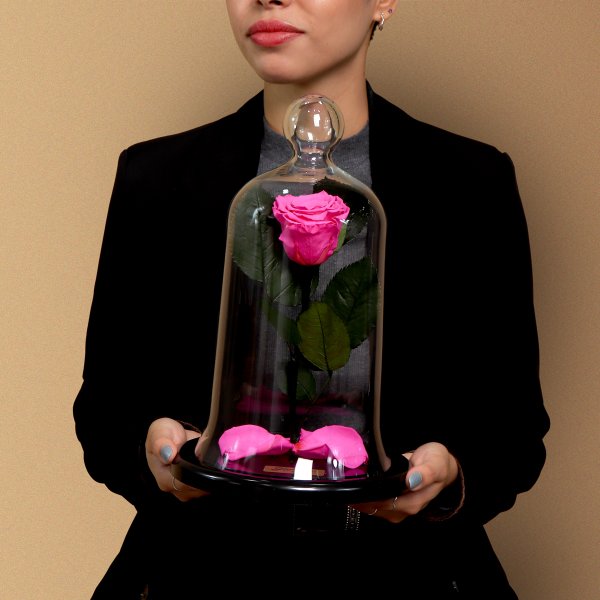 A Rosa Encantada Pink