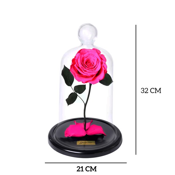 A Rosa Encantada Pink
