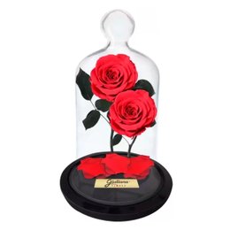 Imagem de Jardim das Rosas Encantadas