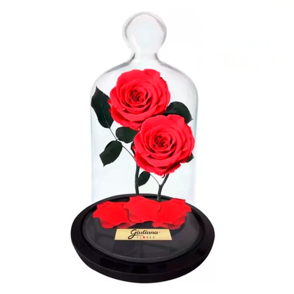 Jardim das Rosas Encantadas