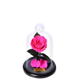 Imagem de Mini Rosa Encantada Pink