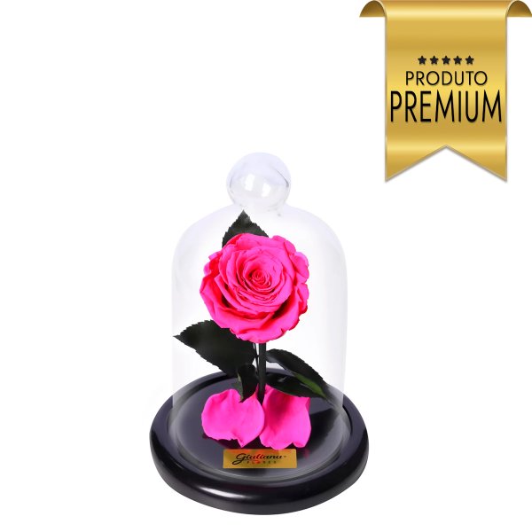 Mini Rosa Encantada Pink