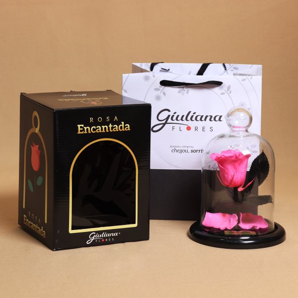 Mini Rosa Encantada Pink