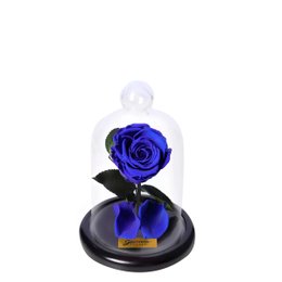 Imagem de Mini Rosa Encantada Azul