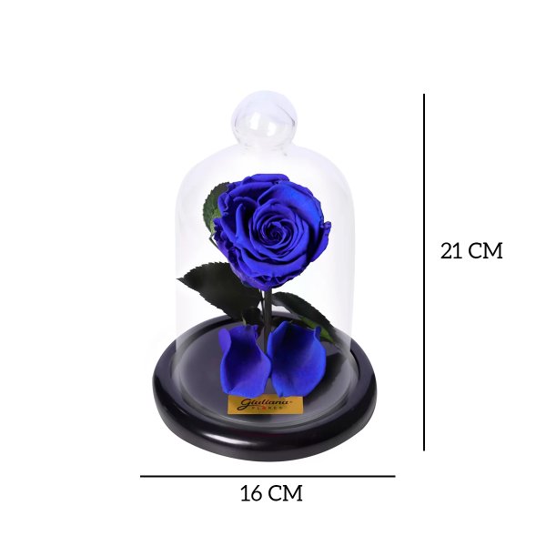 Mini Rosa Encantada Azul