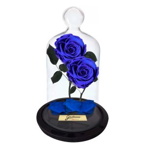 Imagem de Jardim das Rosas Encantadas Azul