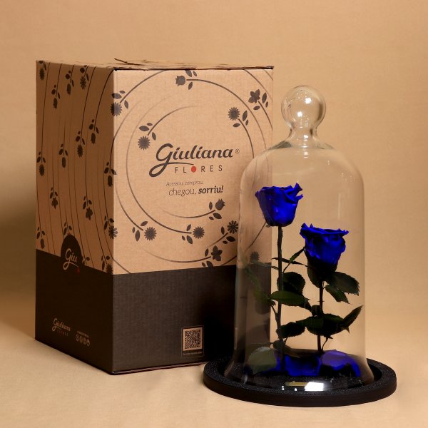 Jardim das Rosas Encantadas Azul
