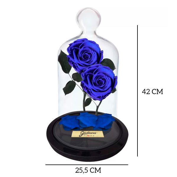 Jardim das Rosas Encantadas Azul
