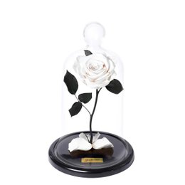 Imagem de A Rosa Encantada Branca