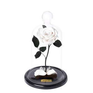 Imagem de A Rosa Encantada Branca