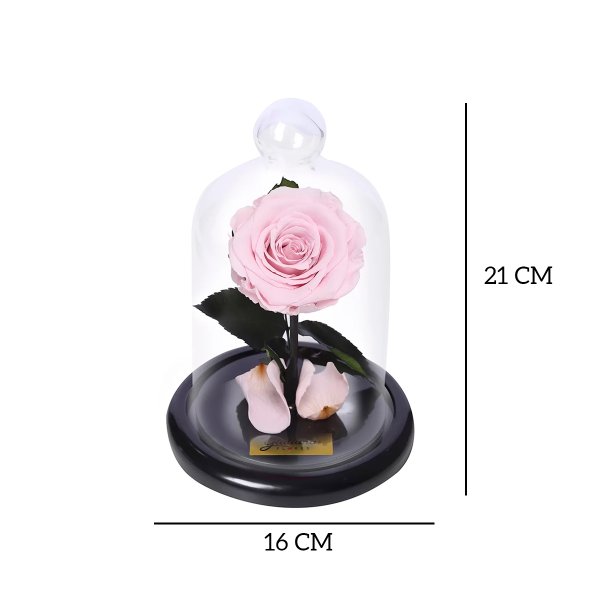Mini Rosa Encantada Cor de Rosa