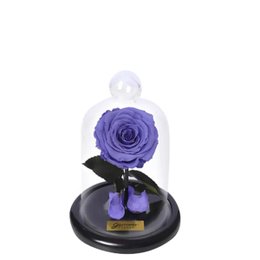 Imagem de Mini Rosa Encantada Lilás