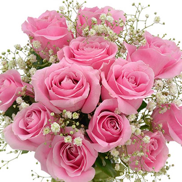 Elegância das Rosas Cor de Rosa