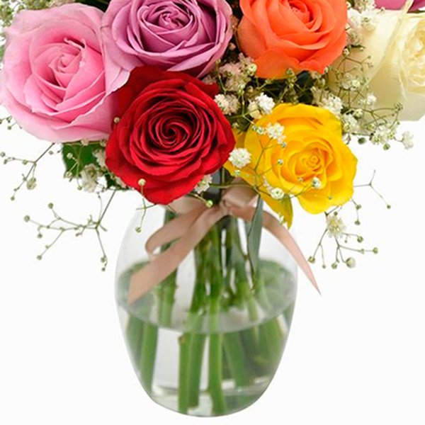 Elegância das Rosas Coloridas