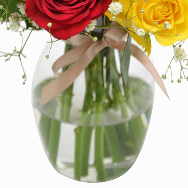 Elegância das Rosas Coloridas