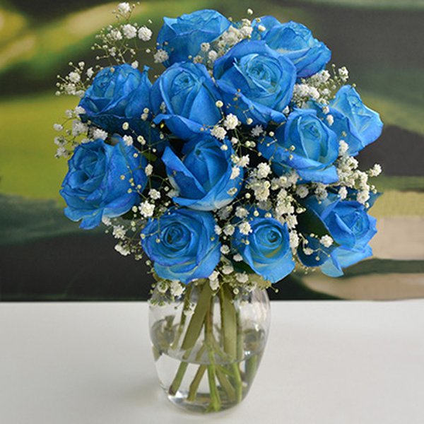 Elegância das Rosas Azuis