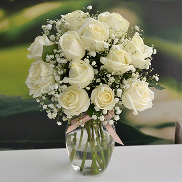 Elegância das Rosas Brancas