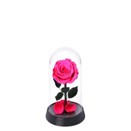 Imagem de A Bela Rosa Encantada Pink