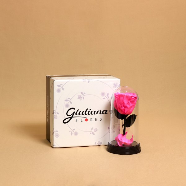 A Bela Rosa Encantada Pink
