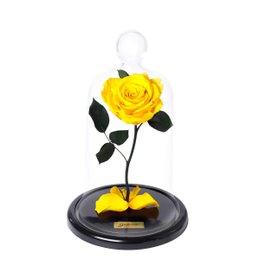 Imagem de A Rosa Encantada Amarela