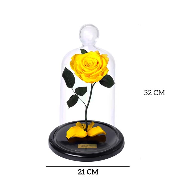 A Rosa Encantada Amarela