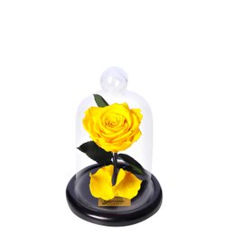 Imagem de Mini Rosa Encantada Amarela