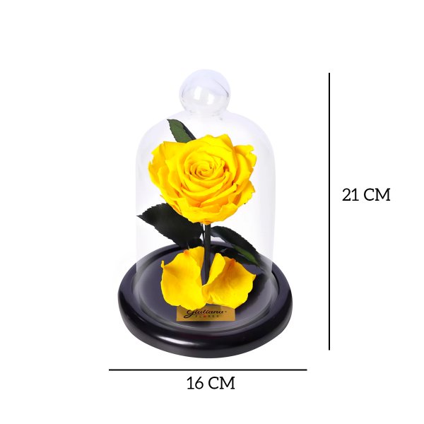 Mini Rosa Encantada Amarela