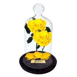 Imagem de Jardim das Rosas Encantadas Amarelas