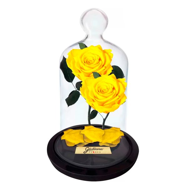 Jardim das Rosas Encantadas Amarelas