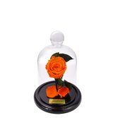 Mini Rosa Encantada Laranja